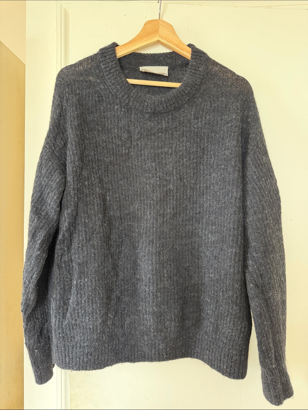 Everlane Cocoon Crew in Alpaca